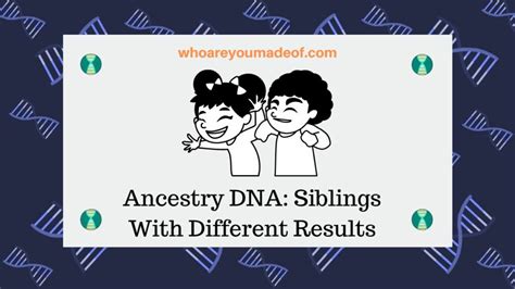 Ancestry DNA: Siblings With Different Results .